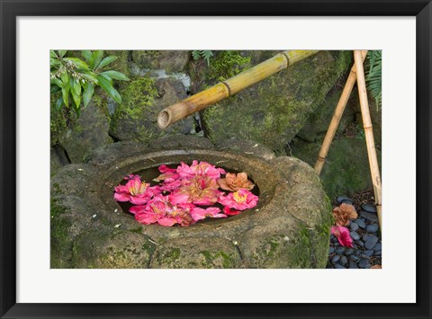 Framed Water Basin Flowers, Portland Japanese Garden, Oregon Print