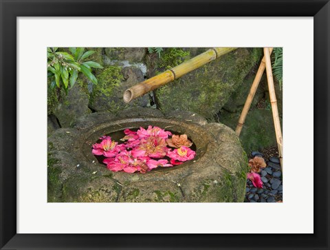 Framed Water Basin Flowers, Portland Japanese Garden, Oregon Print