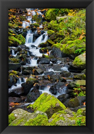 Framed Starvation Creek Falls In Autumn, Columbia Gorge Oregon Print