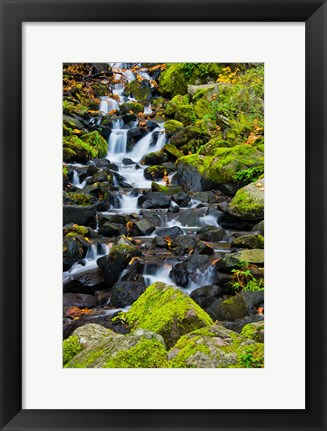 Framed Starvation Creek Falls In Autumn, Columbia Gorge Oregon Print