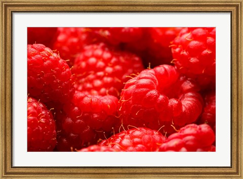 Framed Close-Up Of Fresh Raspberries Print