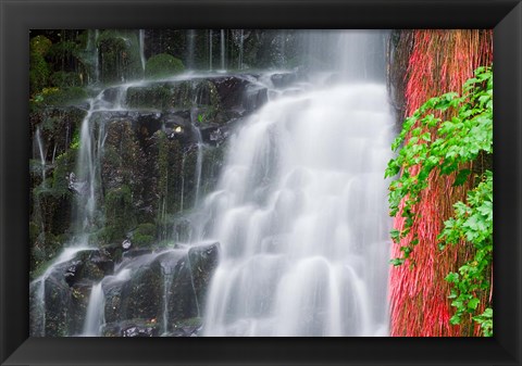 Framed Coopey Falls, Oregon Print