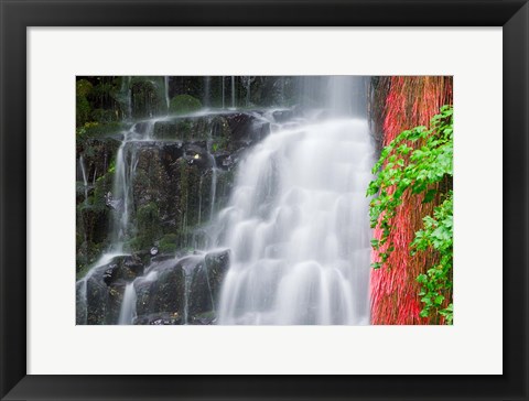 Framed Coopey Falls, Oregon Print