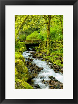 Framed Wahkeena Falls, Oregon Print