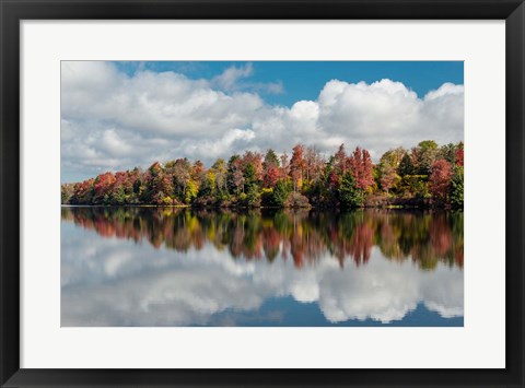 Framed Autumn Lake Reflection Of Ricketts Glen State Park, Pennsylvania Print