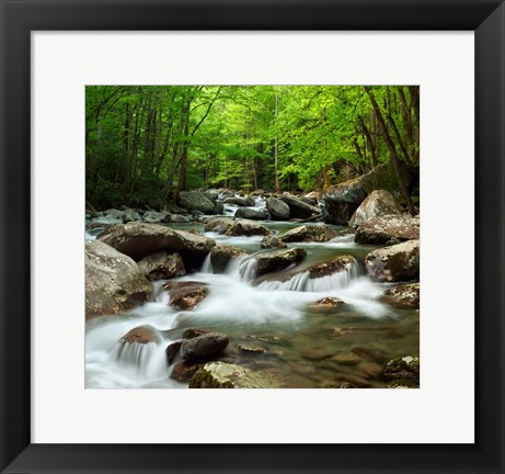 Framed Little Pigeon River At Greenbrier Print