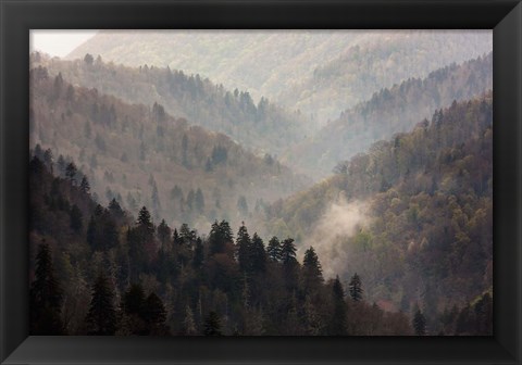 Framed Mist Rises In A Valley Of Tree-Lined Ridges Print