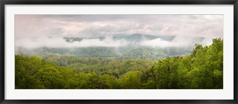 Framed Misty Morning Panorama Of The Greak Smoky Mountains National Park Print