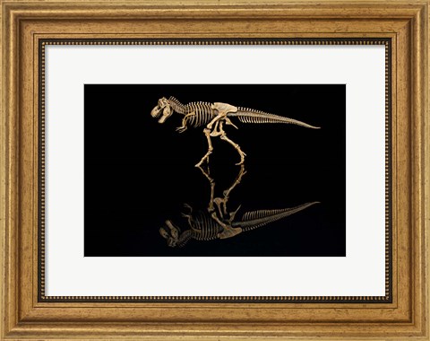 Framed T-Rex Skeleton Replica Reflection Print