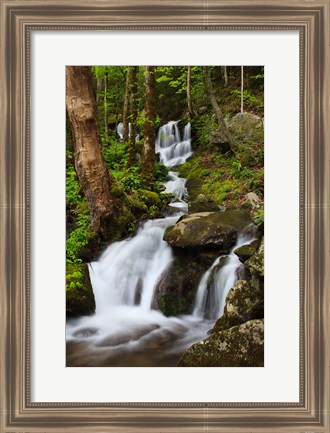 Framed Cascade Along The Little River Print