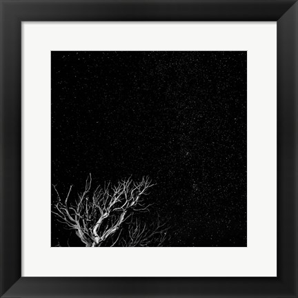 Framed Dead Tree And Night Sky At The Capitol Reef National Park, Utah Print