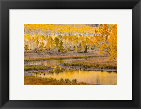 Framed Fishlake National Forest Landscape, Utah Print