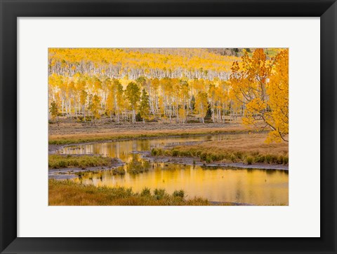 Framed Fishlake National Forest Landscape, Utah Print