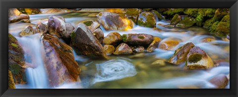 Framed Scenic View Of The Little Cottonwood Creek Print