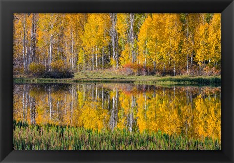 Framed Round Lake Panorama, Utah Print