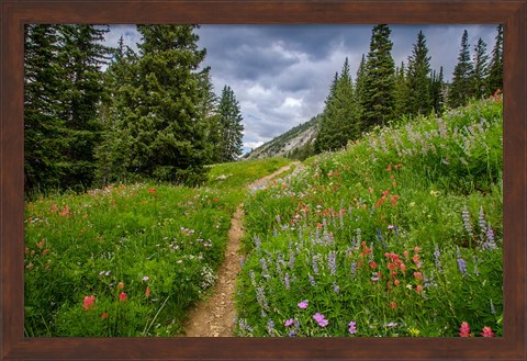 Framed Wildflowers In The Albion Basin, Utah Print