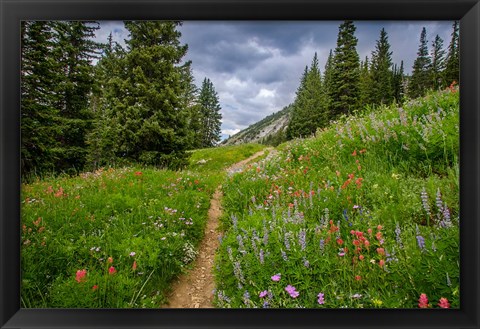 Framed Wildflowers In The Albion Basin, Utah Print