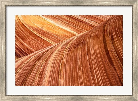 Framed Wave, Utah Print