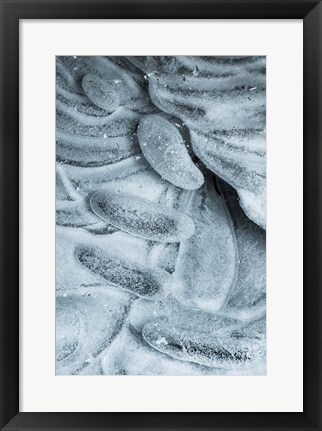 Framed Frozen Ice Designs Print