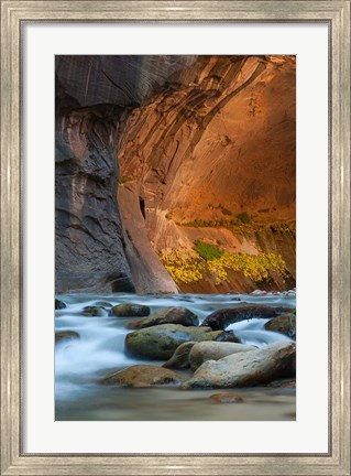 Framed Autumn Foliage Inside The Narrows, Utah Print