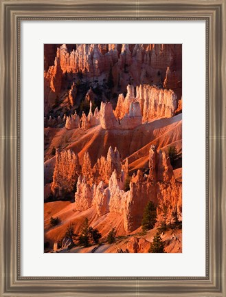 Framed Sunrise Point Hoodoos In Bryce Canyon National Park, Utah Print