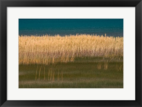 Framed Grasses Blowing In The Breeze Along The Shore Of Bear Lake, Utah Print