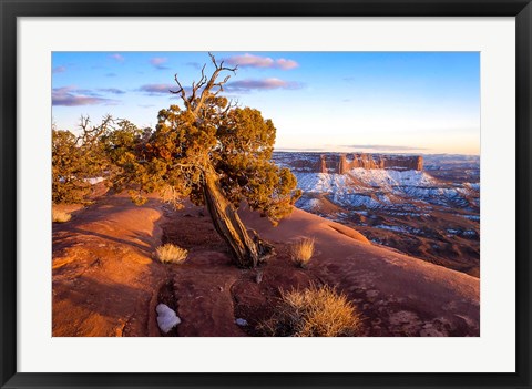 Framed Overlook Vista At Canyonlands National Park, Utah Print