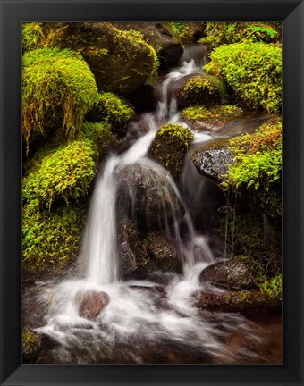 Framed Creek In Sol Duc Valley, Washington Print