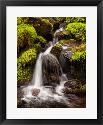 Framed Creek In Sol Duc Valley, Washington Print