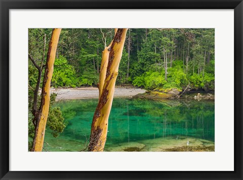 Framed Secluded Bay On Sucia Island, Washington State Print