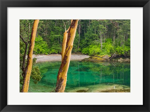 Framed Secluded Bay On Sucia Island, Washington State Print