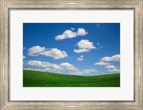 Framed Green Wheat Field Landscape, Washington State Print