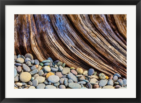 Framed Beach Rocks And Driftwood Print