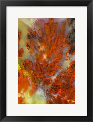 Framed Plume Agate Print