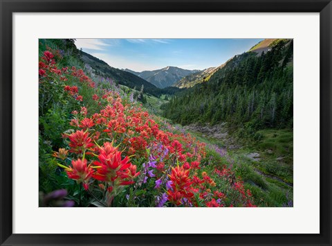 Framed Wildflowers Above Badger Valley In Olympic Nationl Park Print