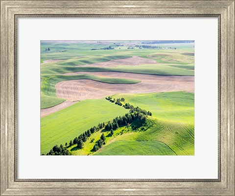 Framed Aerial Shot In The Palouse Region Of Eastern Washington Print