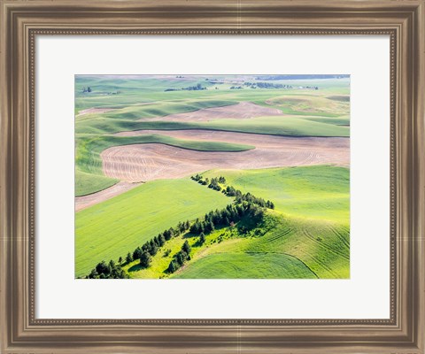 Framed Aerial Shot In The Palouse Region Of Eastern Washington Print