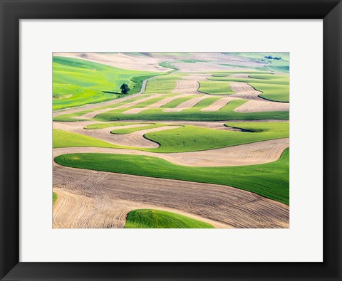 Framed Eastern Washington Landscape Print