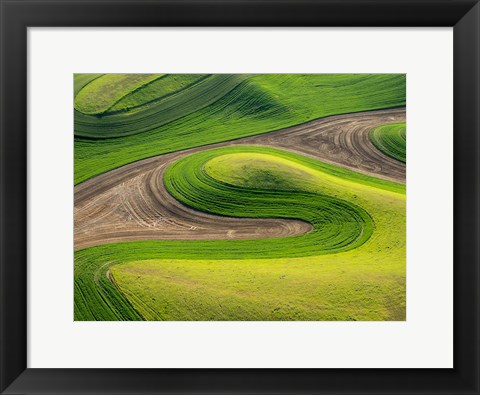 Framed Whitman County Aerial, Washington Print