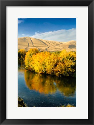 Framed Autumn Color Along The Yakima River Print