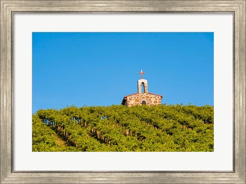 Framed Malbec Grapes In A Vineyard, Washington Print