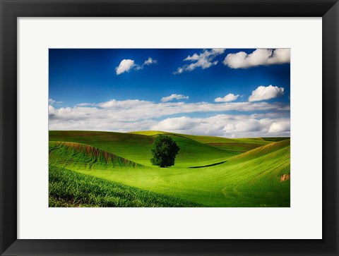 Framed Rolling Wheat Field Landscape With A Lone Tree Print