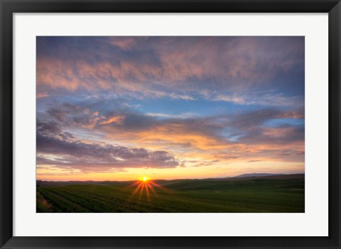 Framed Sunset Cast On Rolling Hills Of Green, Washington State Print