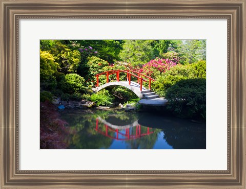 Framed Moon Bridge In The Kubota Gardensm Washington State Print