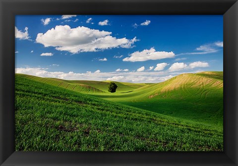 Framed Rolling Wheat Fields With A Lone Tree Print