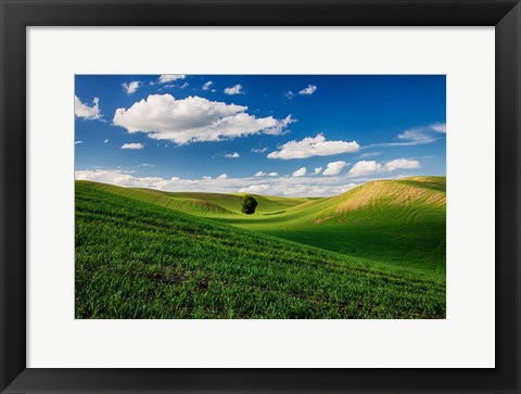 Framed Rolling Wheat Fields With A Lone Tree Print