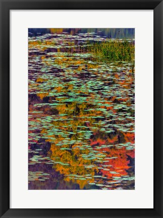 Framed Lily Pads And Autumn Reflections At Babcock State Park Print