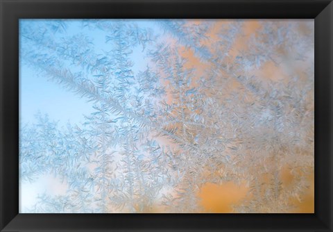 Framed Frost Patterns Formed On Glass Print