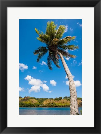 Framed Umatac Bay Palm Tree, Guam Print