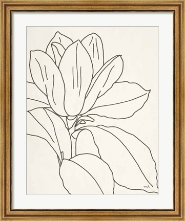 Framed Magnolia Line Drawing v2 Crop Print